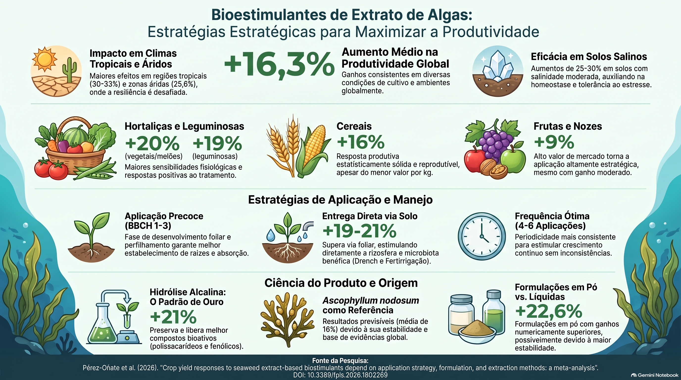 Infográfico: Como a Ciência Desvendou os Gatilhos de Manejo e Extração que Maximizam a Produtividade com Bioestimulantes de Algas